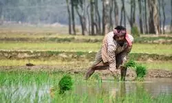 Time for transition Time for transition