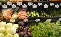 Treading cautiously Treading cautiously