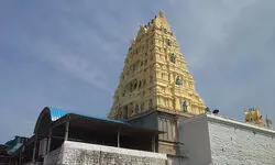 Vivid masterpiece Vivid masterpiece