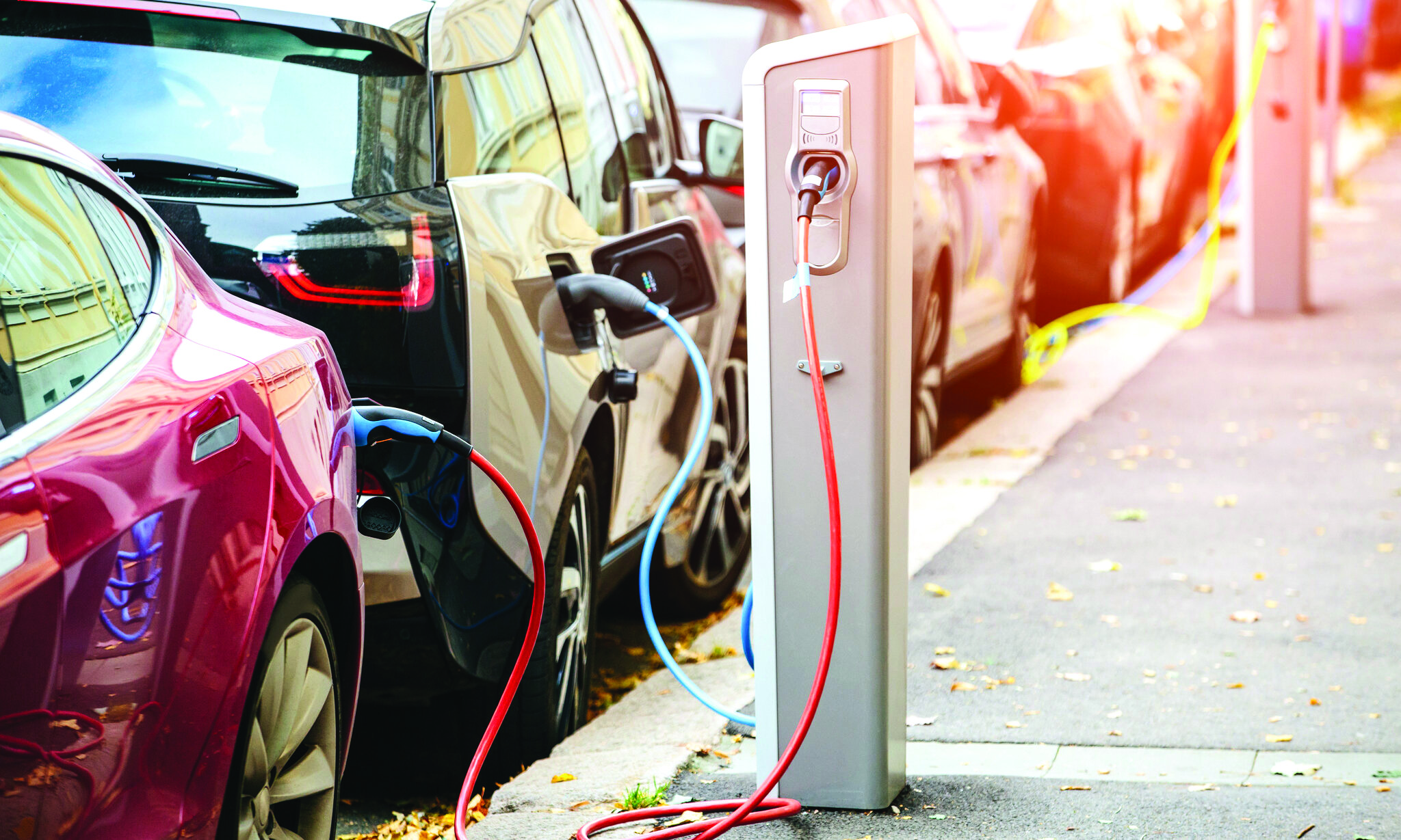‘India ripe target for EV cos but domestic take up slow’