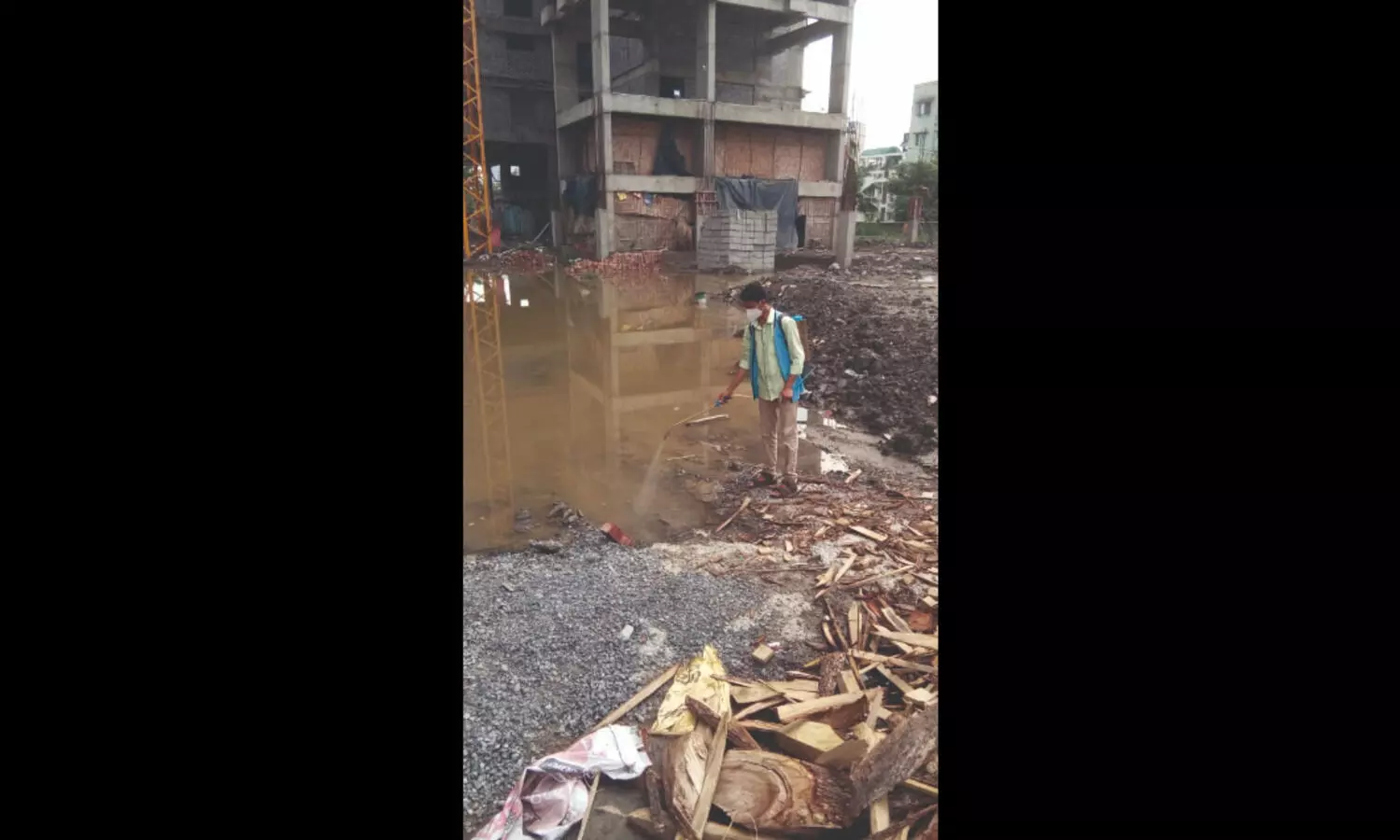 State to take up round-the-yr vigil to prevent vector-borne diseases