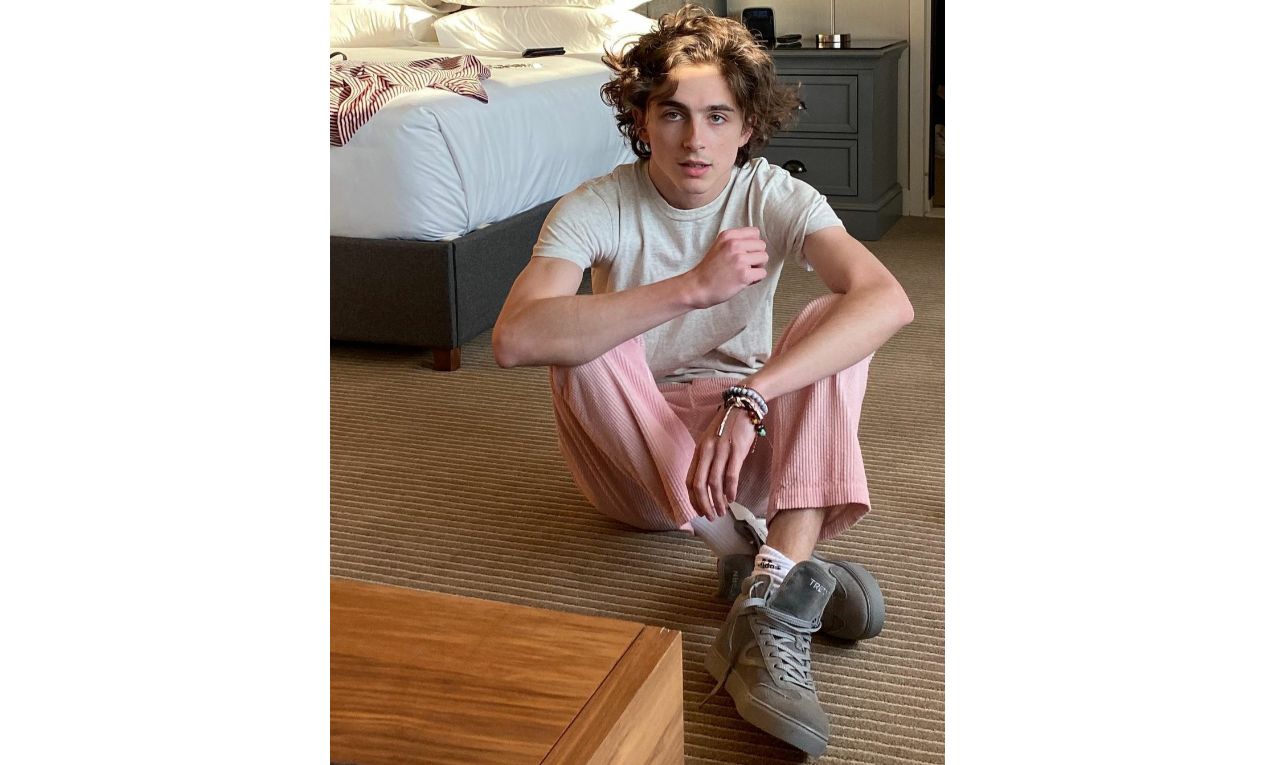 Timothee Chalamet on doing Wonka: Hopefully going to be a piece of chocolate