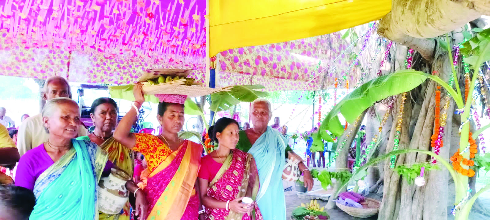 Raiganj: Trees made to tie the knot to spread awareness on plantation