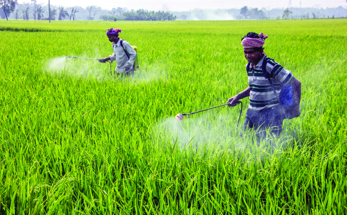 Cabinet okays Rs 1.08 lakh crore fertiliser subsidy for kharif season