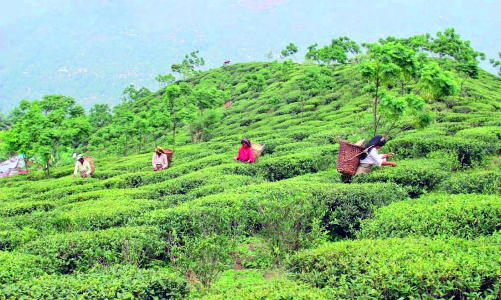 ‘Target set to build 18 creches, 8 health centres within next yr’