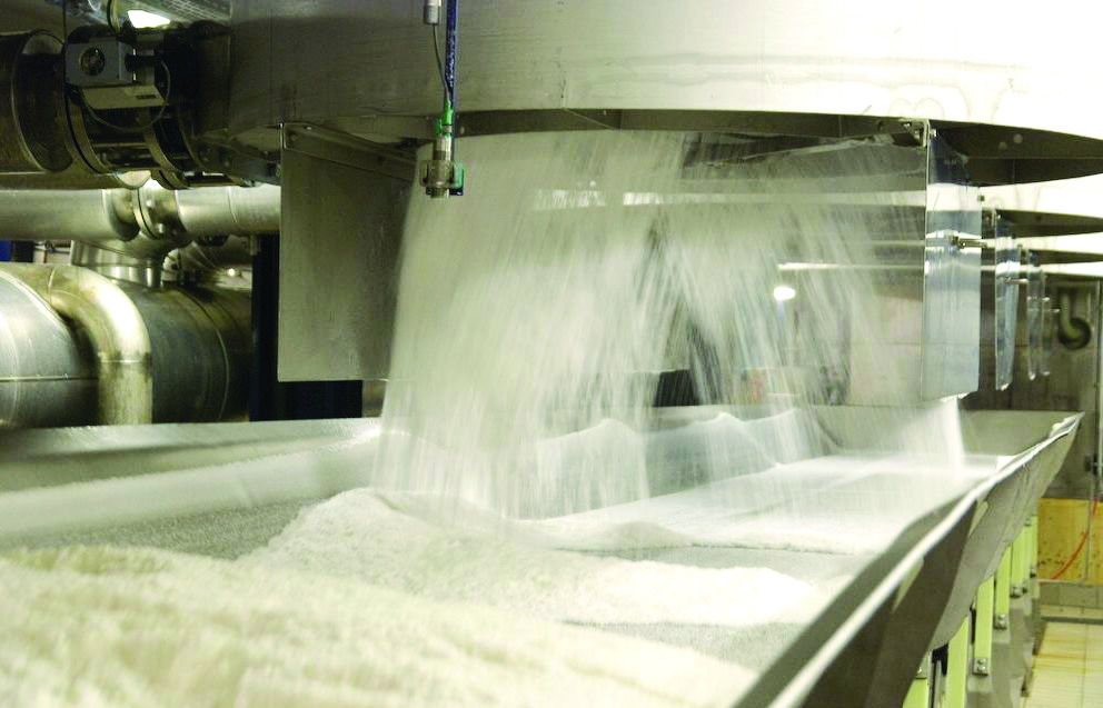 UP surpasses Maharashtra in sugar output this season