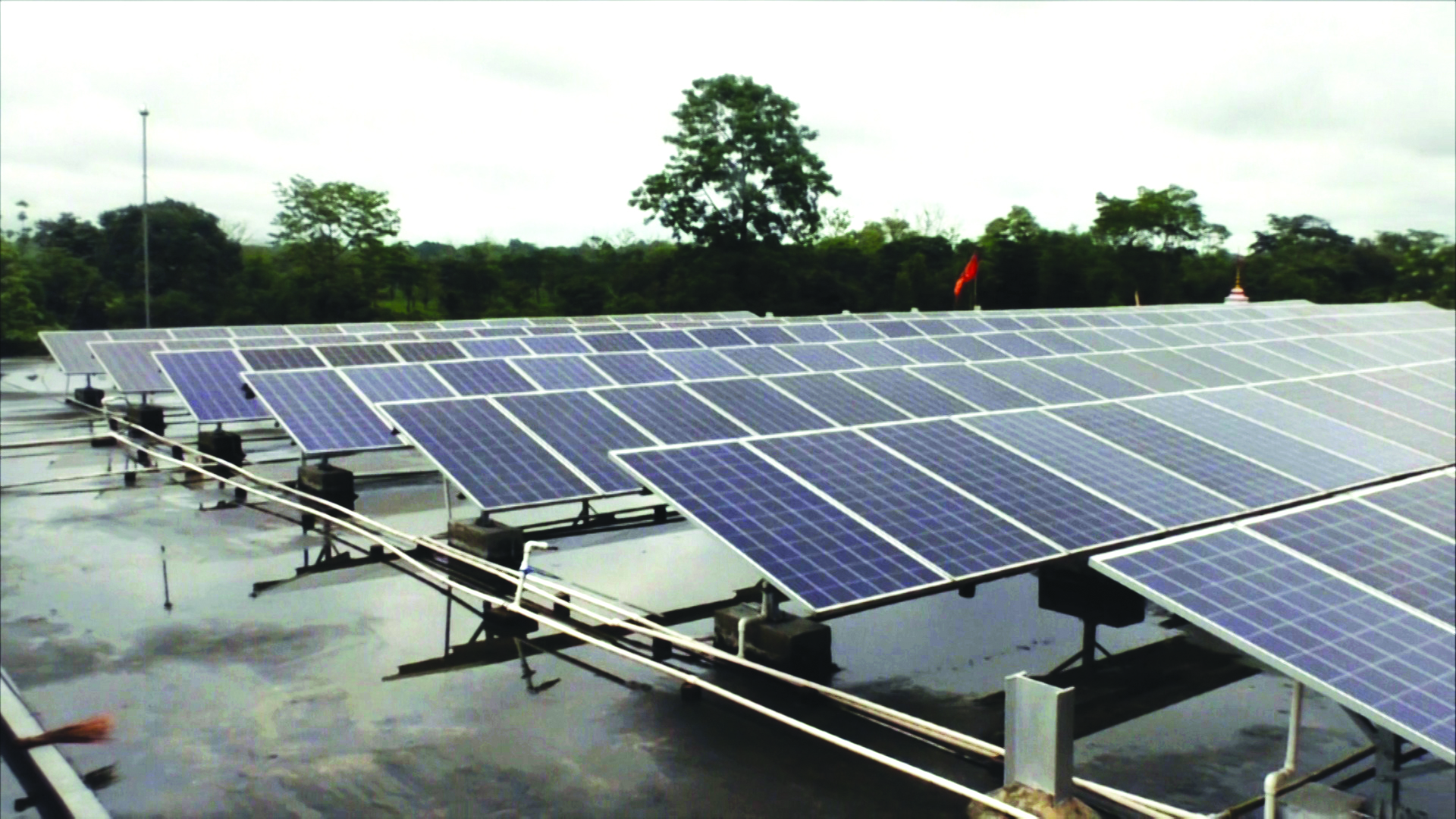Tea garden in Alipurduar runs on solar energy, excess power sold to state