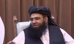 Sign of amelioration?