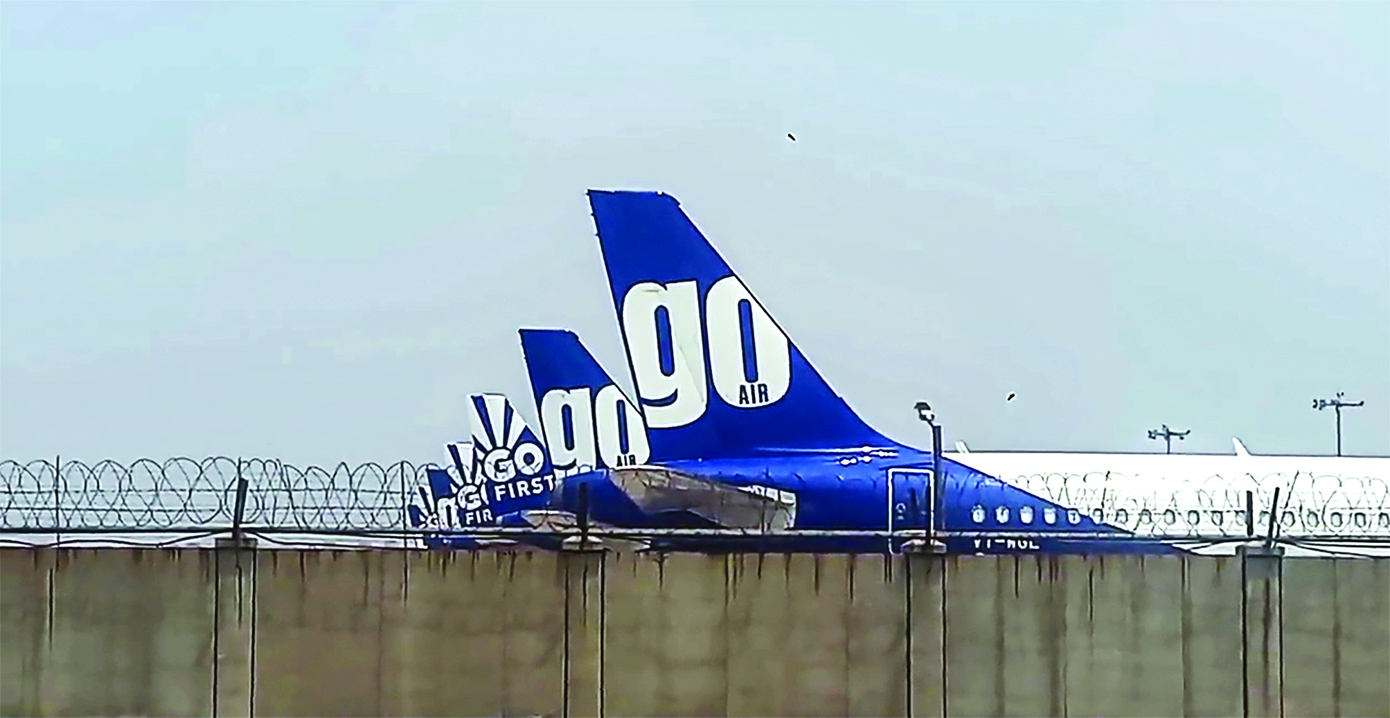 Go First gets 30 days to submit revival plan