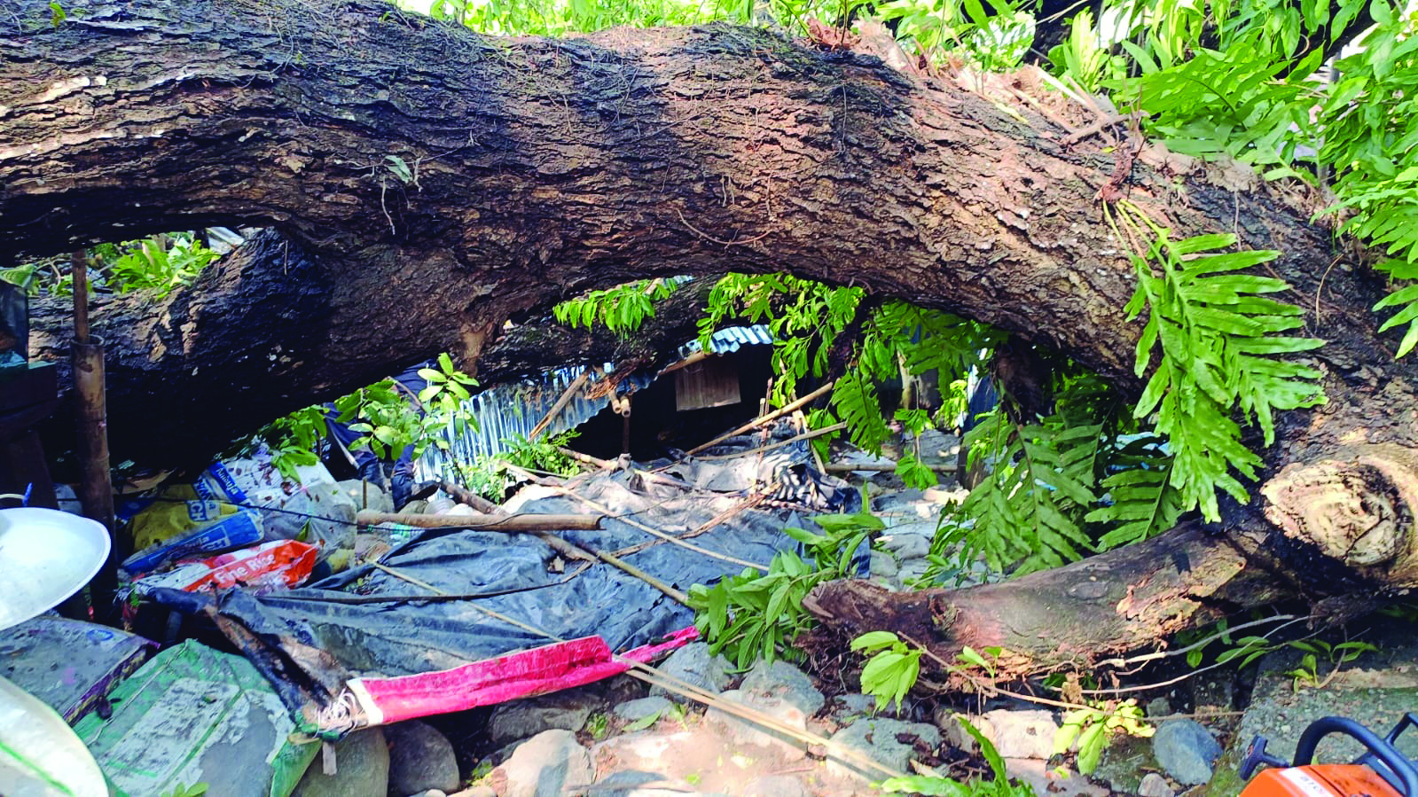 3 injured, several houses damaged after storm hits Cooch Behar, North Dinajpur districts