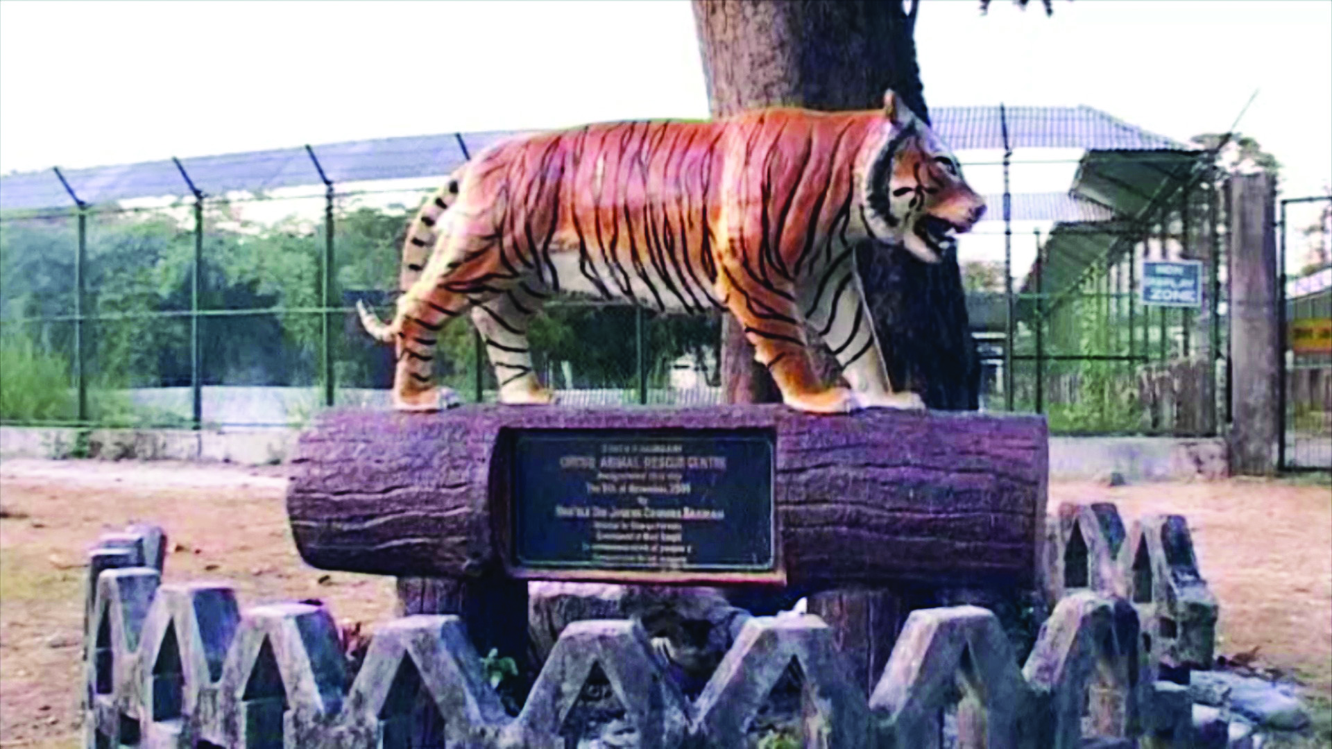 State to seek nod for bringing tigers to Khairbari Mini Zoo State to seek nod for bringing tigers to Khairbari Mini Zoo