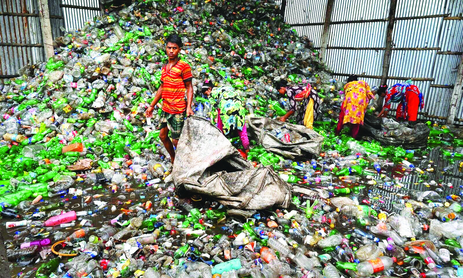 Pilot project to be launched in ward no. 10 to collect segragated waste