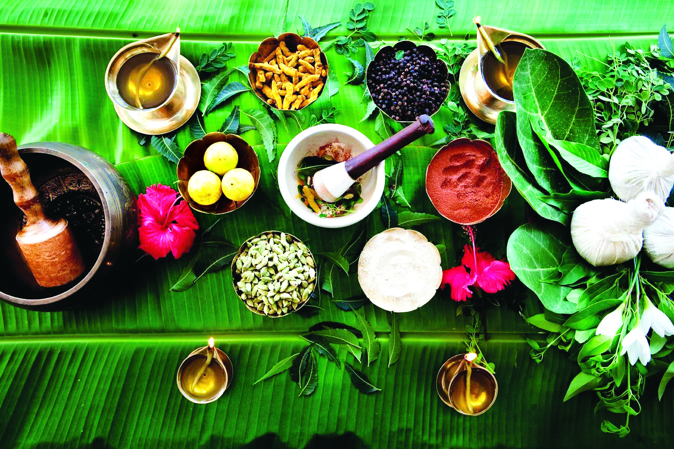 Researchers claim 400 medicinal plants have anti-diabetic properties