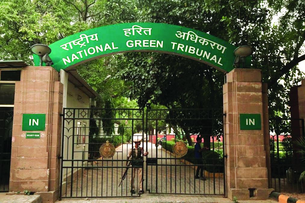 NGT directs monitoring committee, CPCB and   DPCC to look into city’s ‘illegal’ dyeing factories