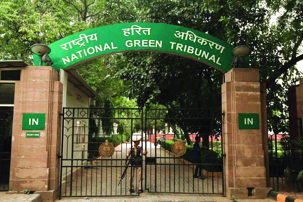 NGT directs monitoring committee, CPCB and DPCC to look into city’s ‘illegal’ dyeing factories NGT directs monitoring committee, CPCB and DPCC to look into city’s ‘illegal’ dyeing factories