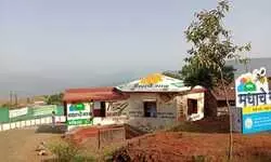 Nexus of Good: A vital intervention Nexus of Good: A vital intervention