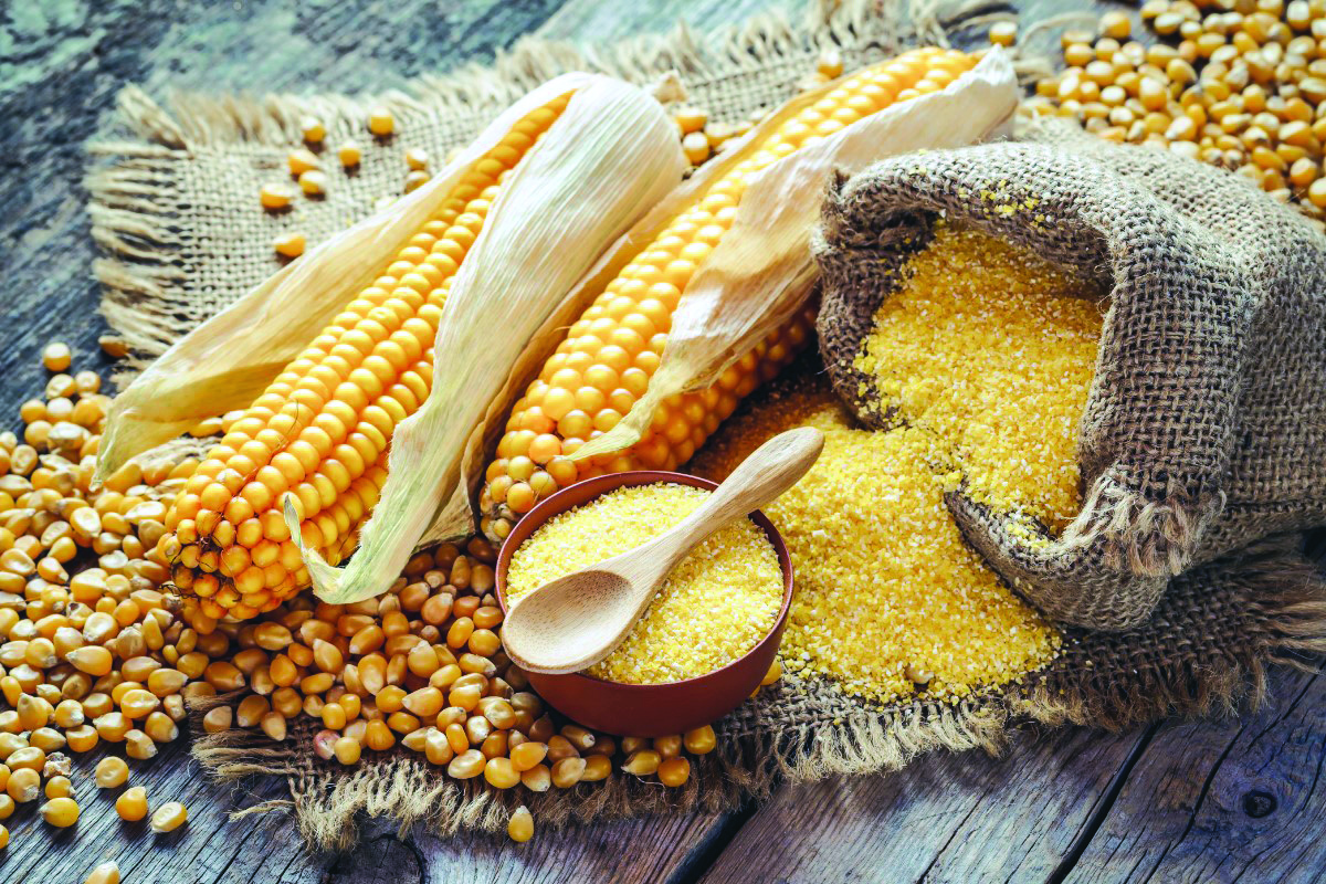 Agri marketing centre to come up in Sagar