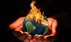 Talking Shop: A funny, cuddly summer Talking Shop: A funny, cuddly summer