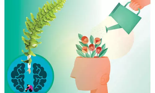 Matters of mind & metamorphosis