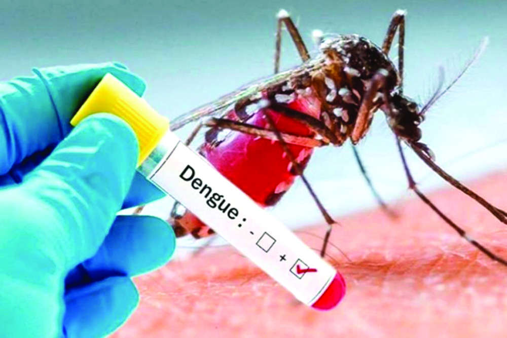 Health dept allots funds to supply dengue sero-typing kits to medical colleges Health dept allots funds to supply dengue sero-typing kits to medical colleges