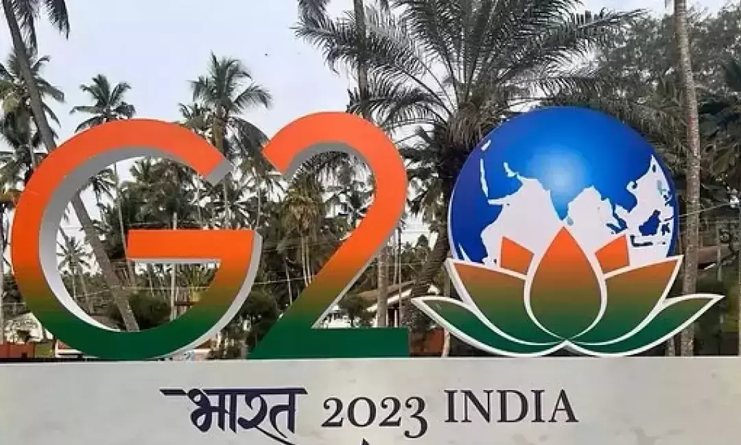 G20 working group discusses ways to strength global financial safety at Goa meet