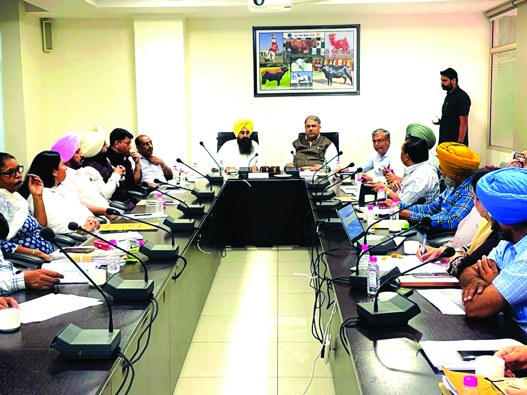 ‘Punjab govt to recruit veterinary officers, inspectors’