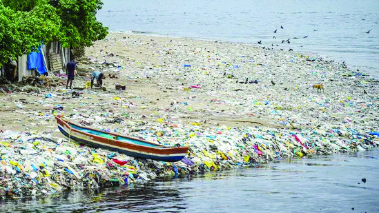 Deterioration of lakes in Central Ganga plain raises concerns for future sustainability
