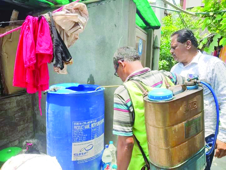 About 35 cases filed in 5 months for   anti-mosquito guideline violations