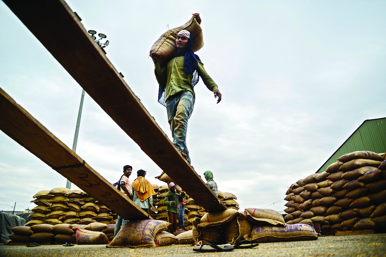 Govt imposes stock limit on wheat till Mar 2024; to offload 15L tonnes