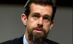 Fabricated accusations?