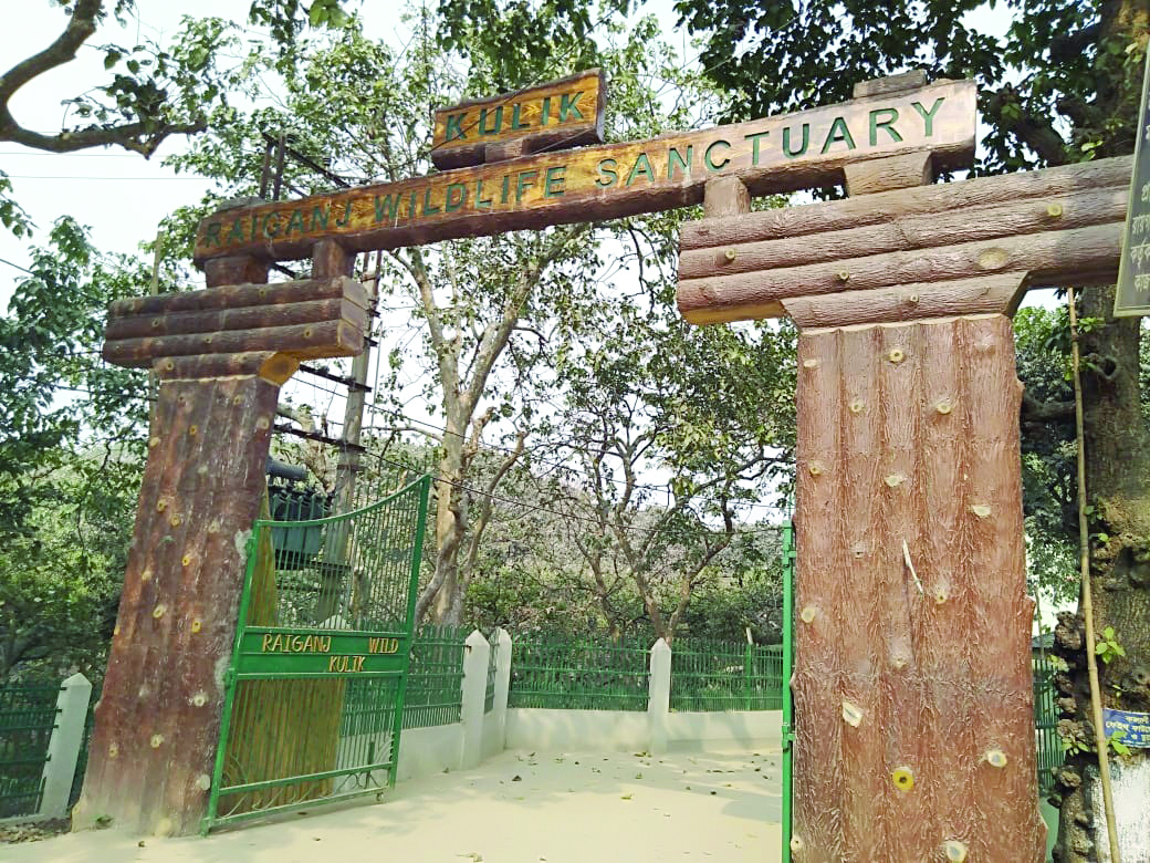 Absence of migratory birds raises concern among officials