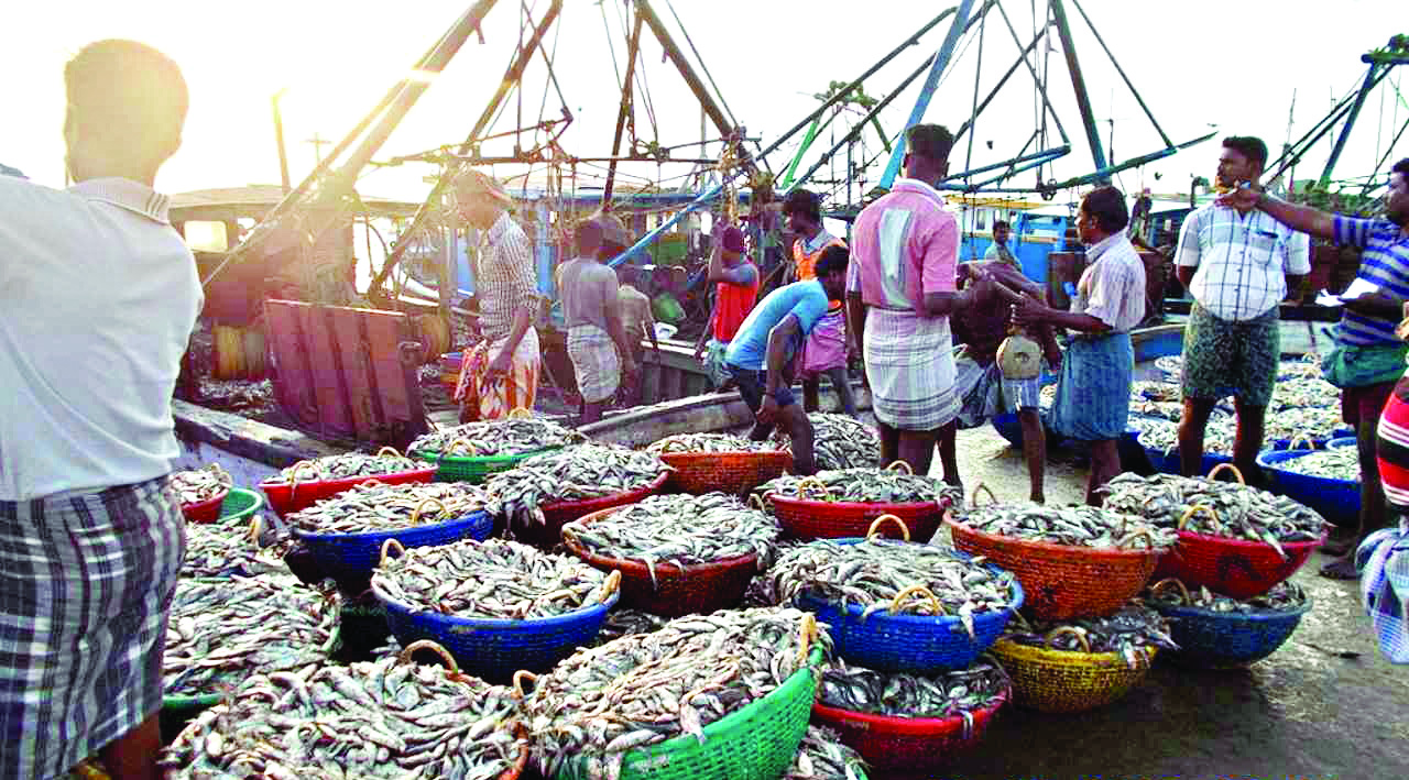 Seafood exports rise 4.3% to $8 bn in 2022-23