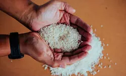 Factoring in farmers’ voice Factoring in farmers’ voice