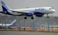 IndiGo places firm order for 500 planes with Airbus