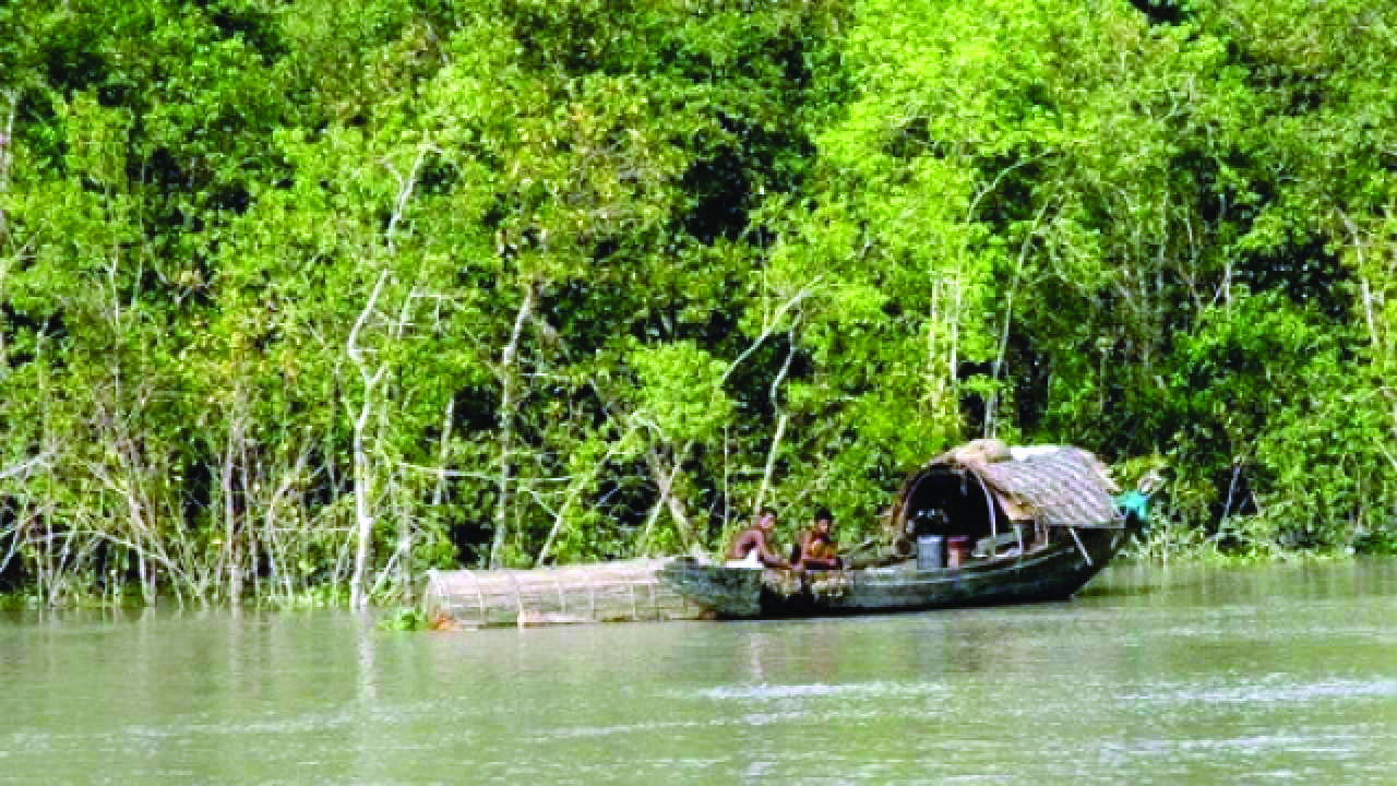 ‘Saving Sunderbans must to safeguard city from adverse effects of climate change’