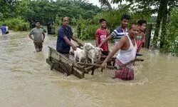 Flood situation grim in Assam; nearly 1.2 lakh hit Flood situation grim in Assam; nearly 1.2 lakh hit