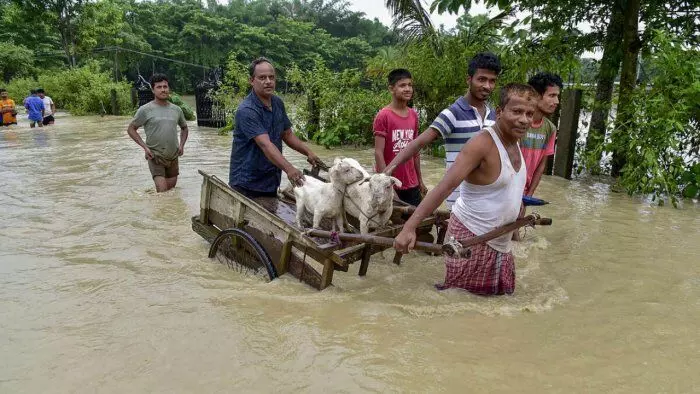 Flood situation grim in Assam; nearly 1.2 lakh hit