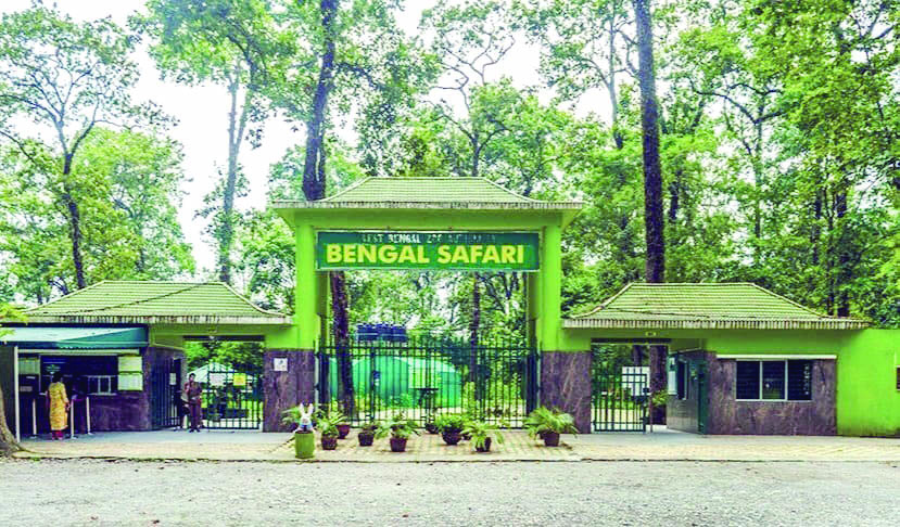 ‘Several blackbucks in Bengal Safari Park suffering from tuberculosis’