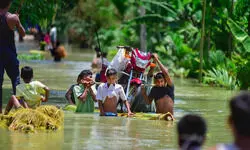 Persistent plight Persistent plight