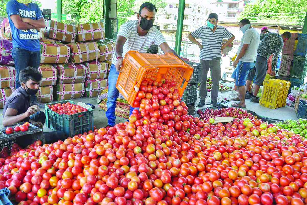 ‘Spike in tomato prices temporary issue, rates will cool down soon’