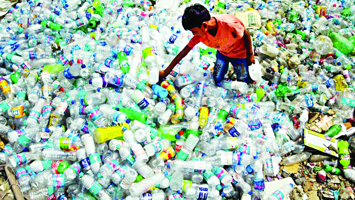 Research identifies tamarind seed as cost-effective source of bioplastic