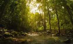 An incongruent bargain An incongruent bargain