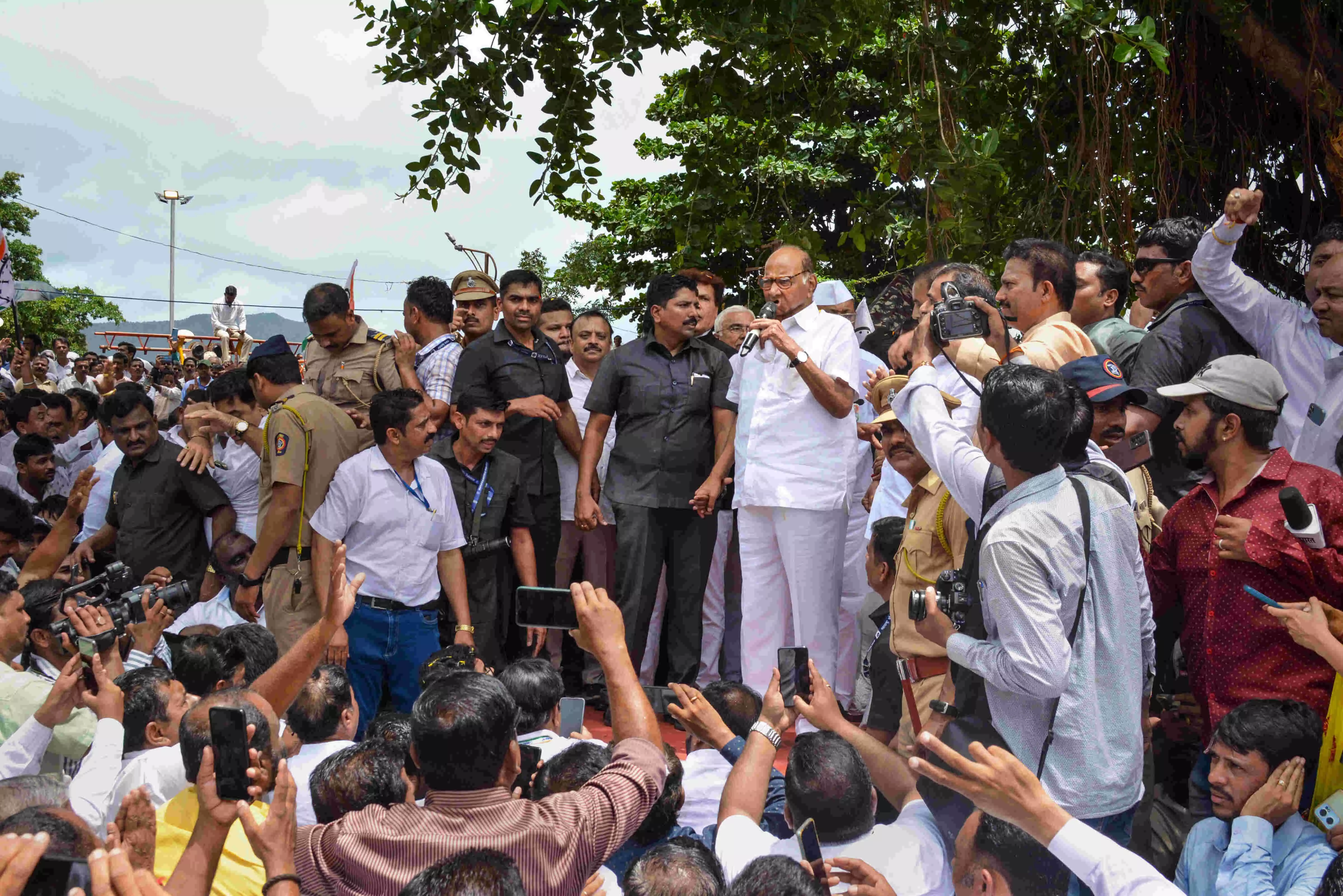 Maharashtra political crisis: Ajit ahead of Sharad Pawar in MLA number game