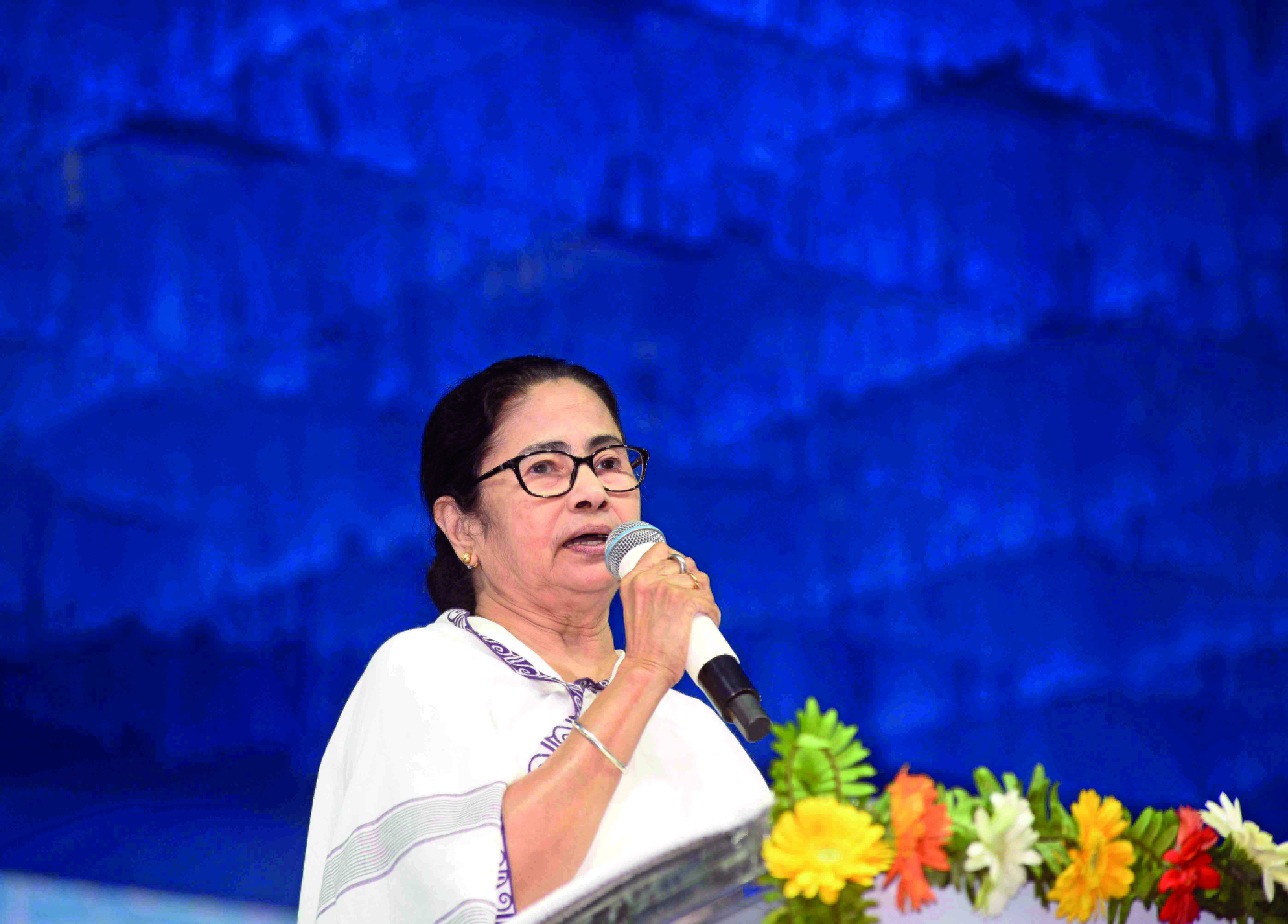 ‘BJP bifurcating states to increase no. of MPs in LS’ ‘BJP bifurcating states to increase no. of MPs in LS’