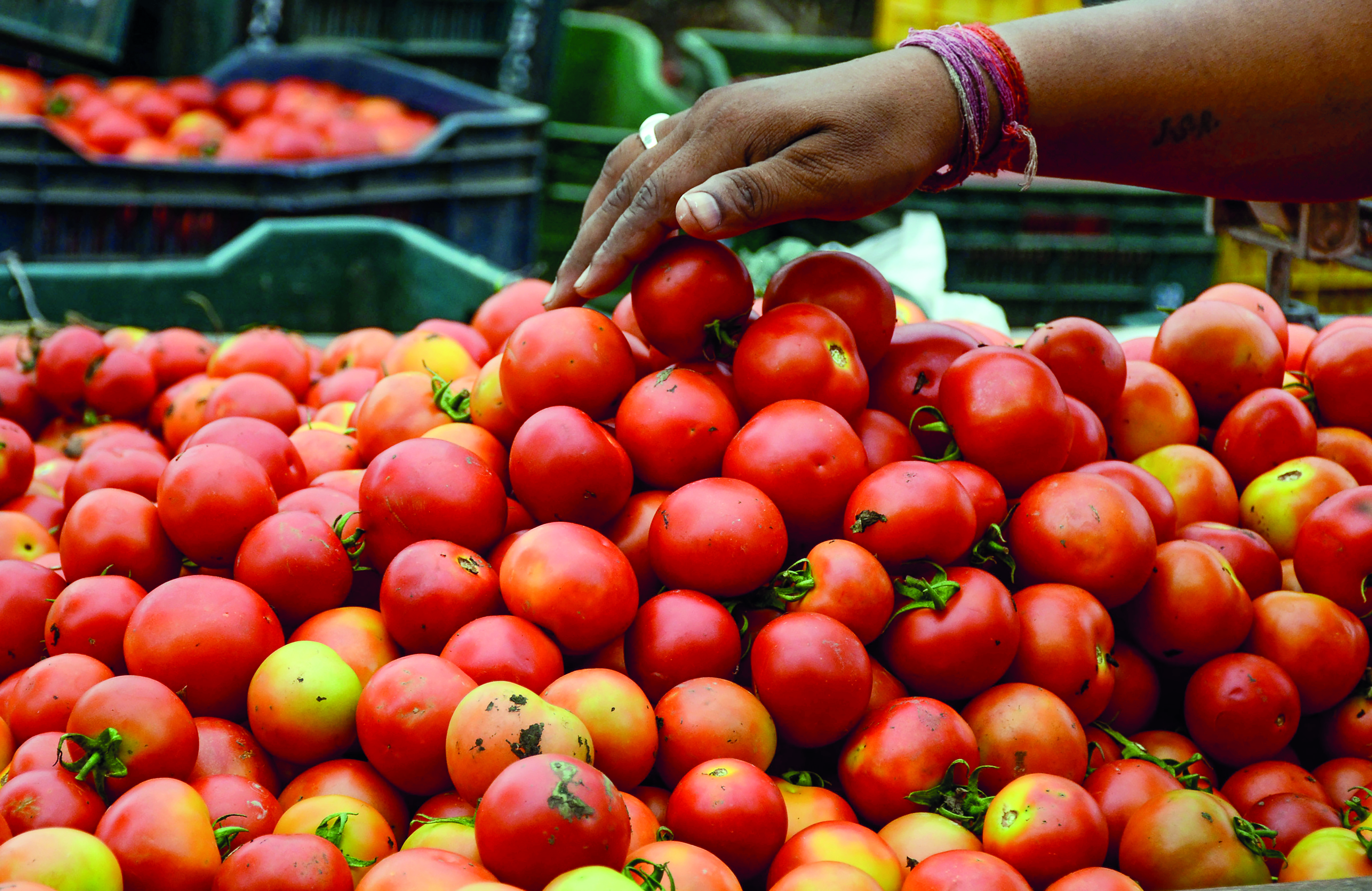 McDonald’s India franchisee puts tomato off the menu as price soars McDonald’s India franchisee puts tomato off the menu as price soars