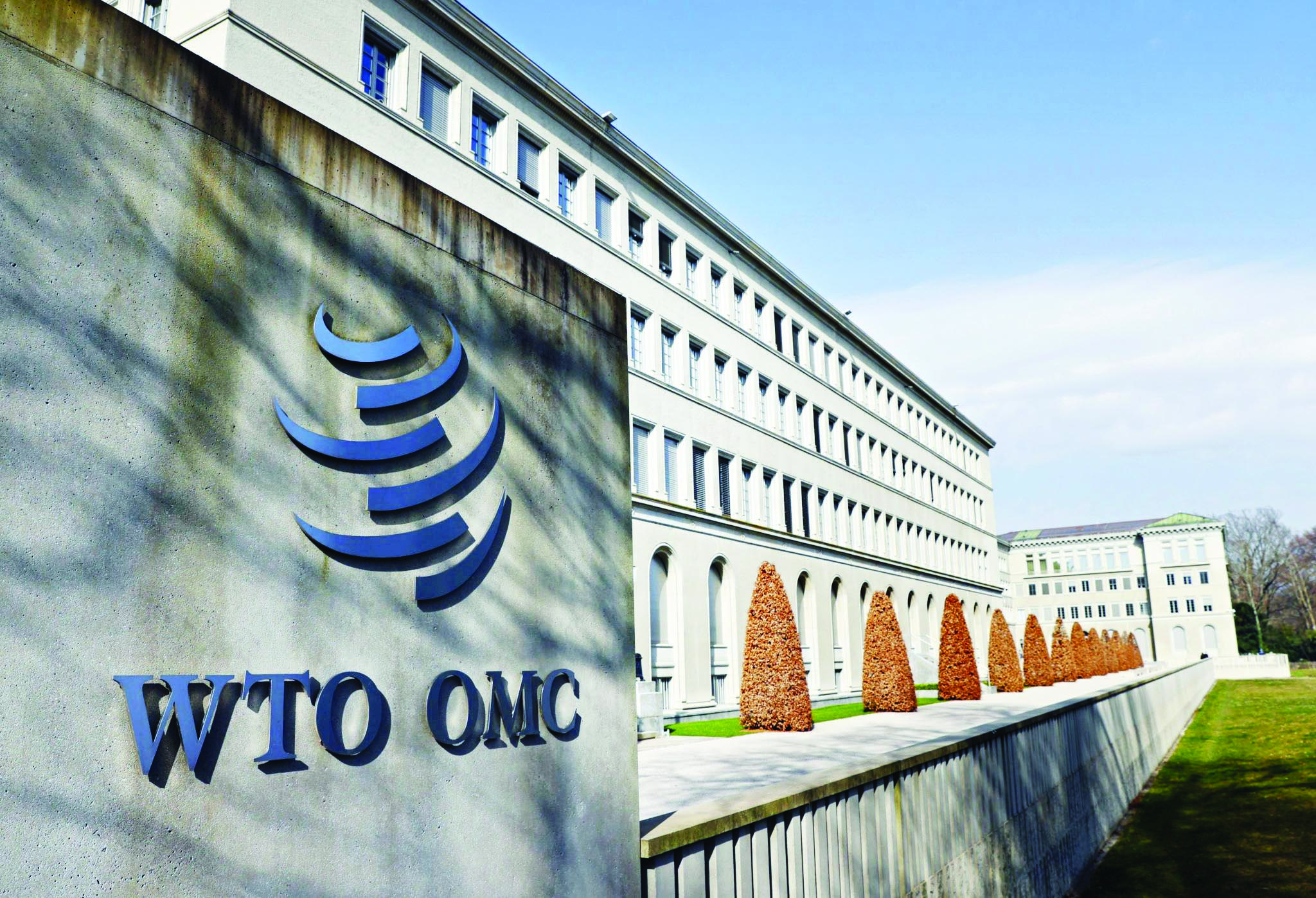 India raises concerns over EU’s carbon tax, deforestation regulation in WTO meeting