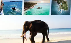 A Sojourn to Untamed Shores A Sojourn to Untamed Shores