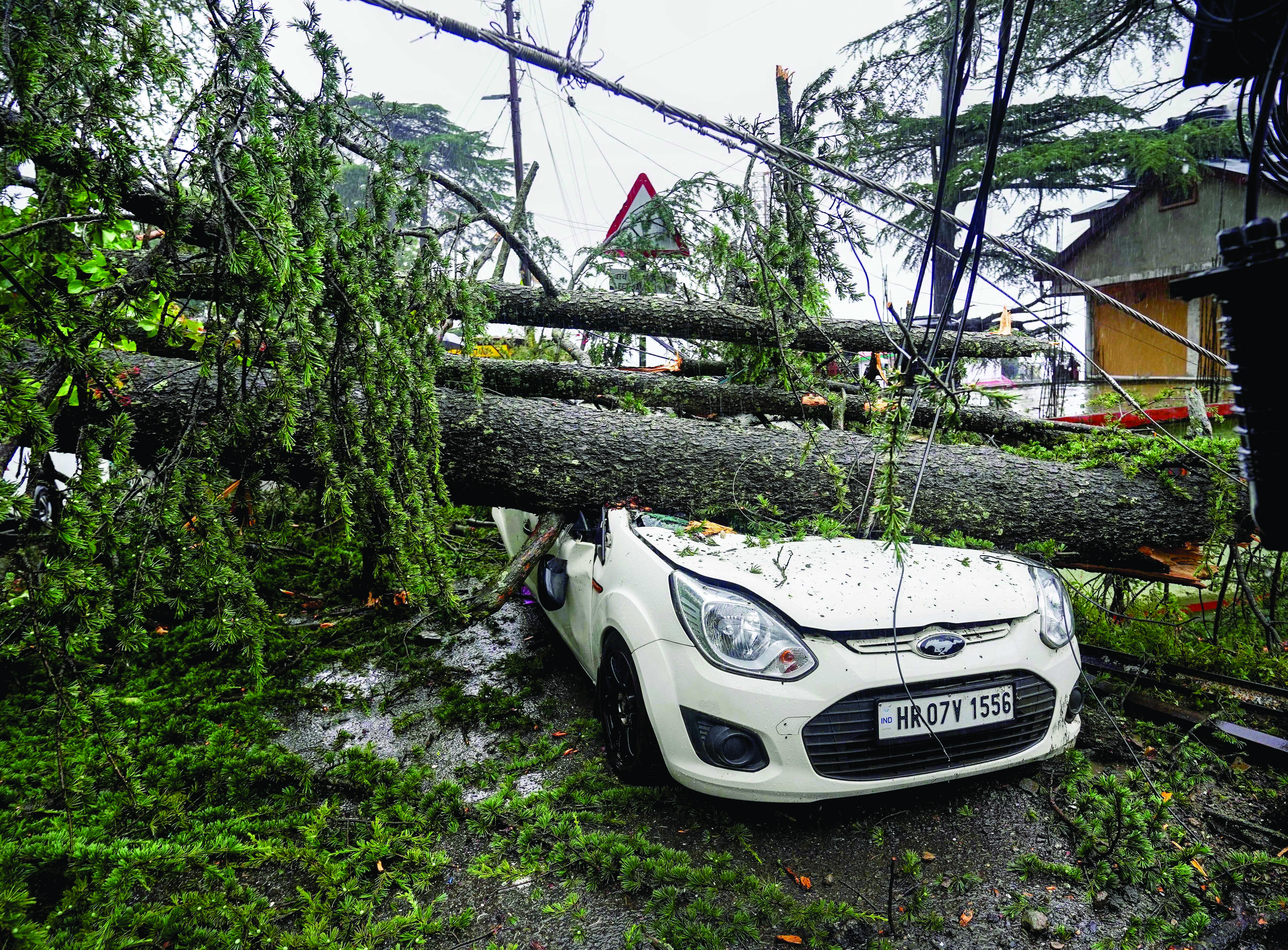 Shah takes stock of rain situation