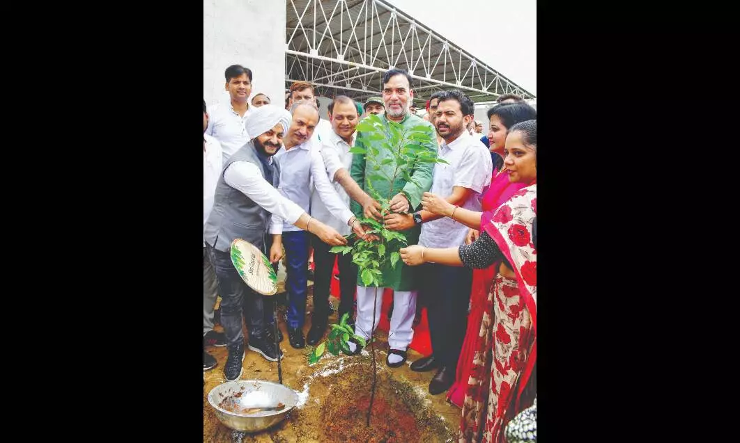To promote tree plantation, Min Rai inaugurates ‘Van Mahotsav’ To promote tree plantation, Min Rai inaugurates ‘Van Mahotsav’