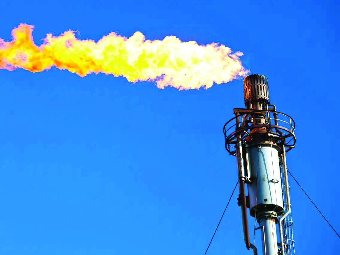 ONGC, Reliance-BP bid for oil, gas blocks, foreign giants continue to stay away